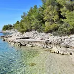 Oliva